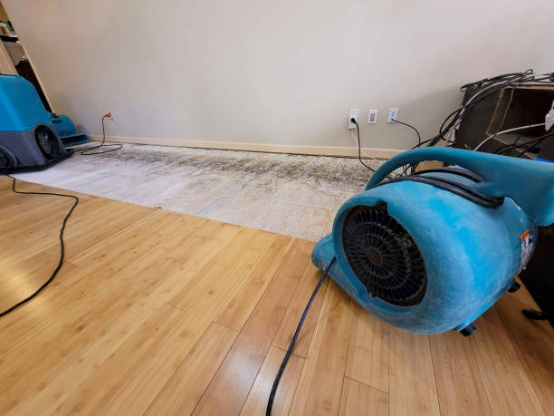 Reliable Basement Flood Cleanup contractor in Middletown, MD by Hirex Water Damage