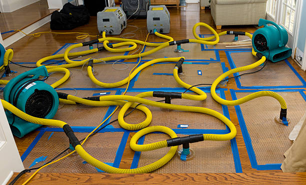 Professional Basement Flood Cleanup technician working in Middletown, MD